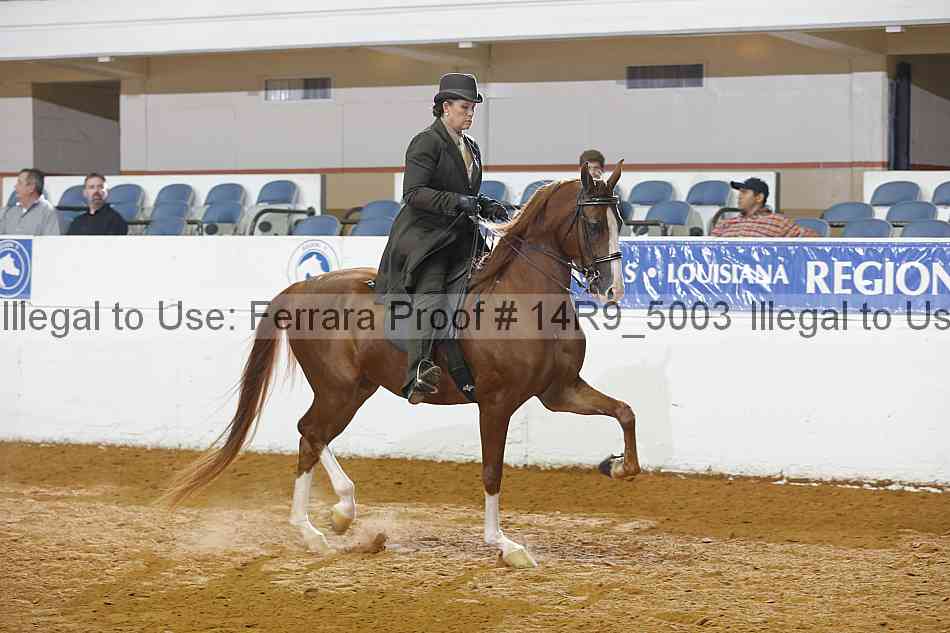Proof 14r9_5003