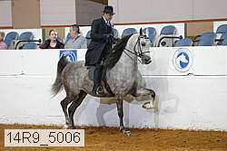 14r9_5006 proof