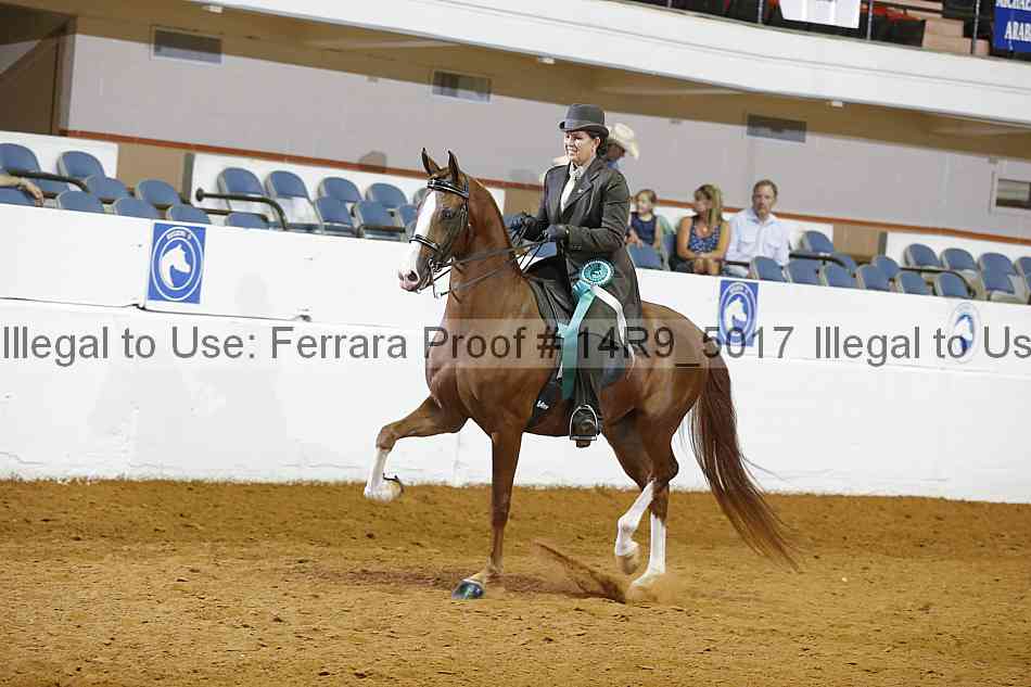 Proof 14r9_5017