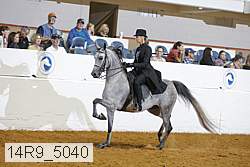 14r9_5040 proof