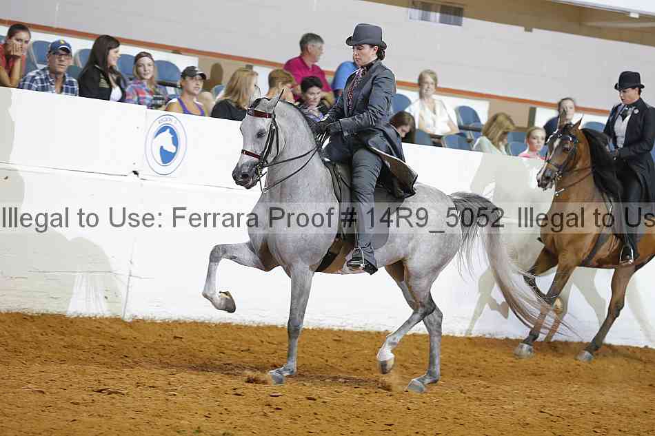 Proof 14r9_5052