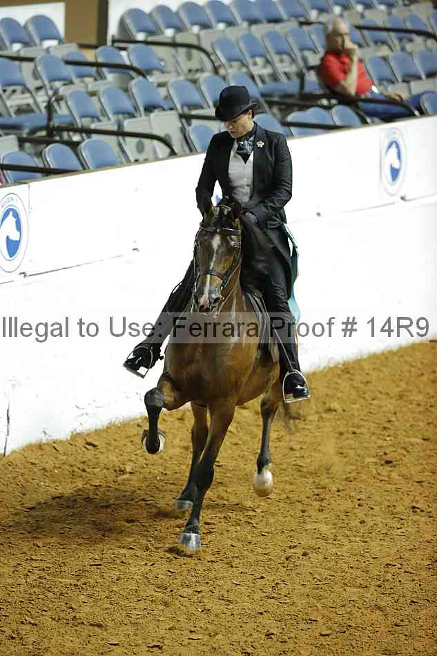 Proof 14r9_5090