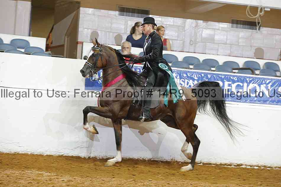 Proof 14r9_5093