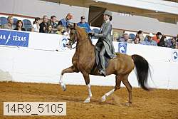 14r9_5105 proof