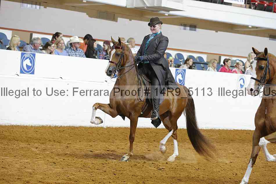 Proof 14r9_5113