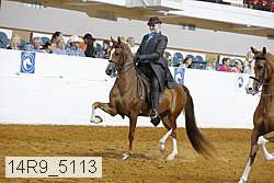 14r9_5113 proof