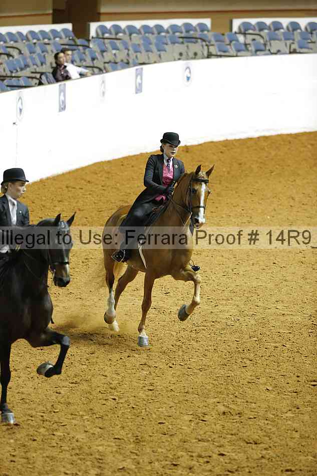 Proof 14r9_5115