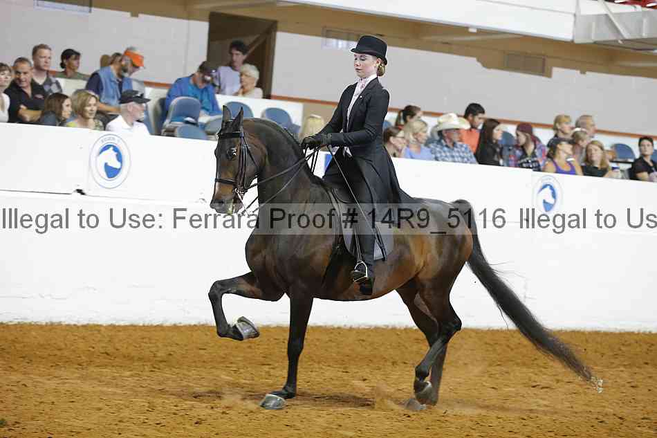 Proof 14r9_5116