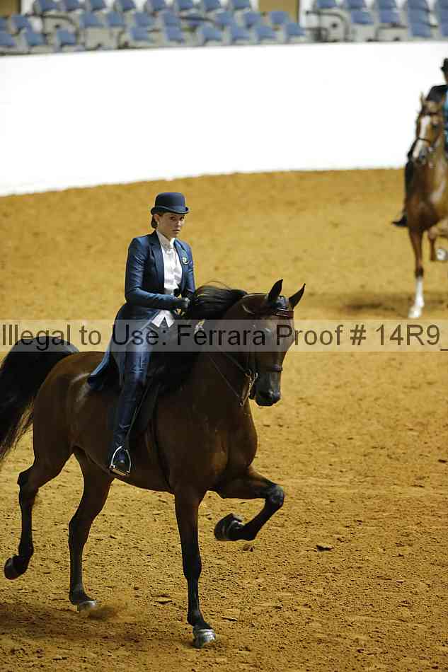 Proof 14r9_5121