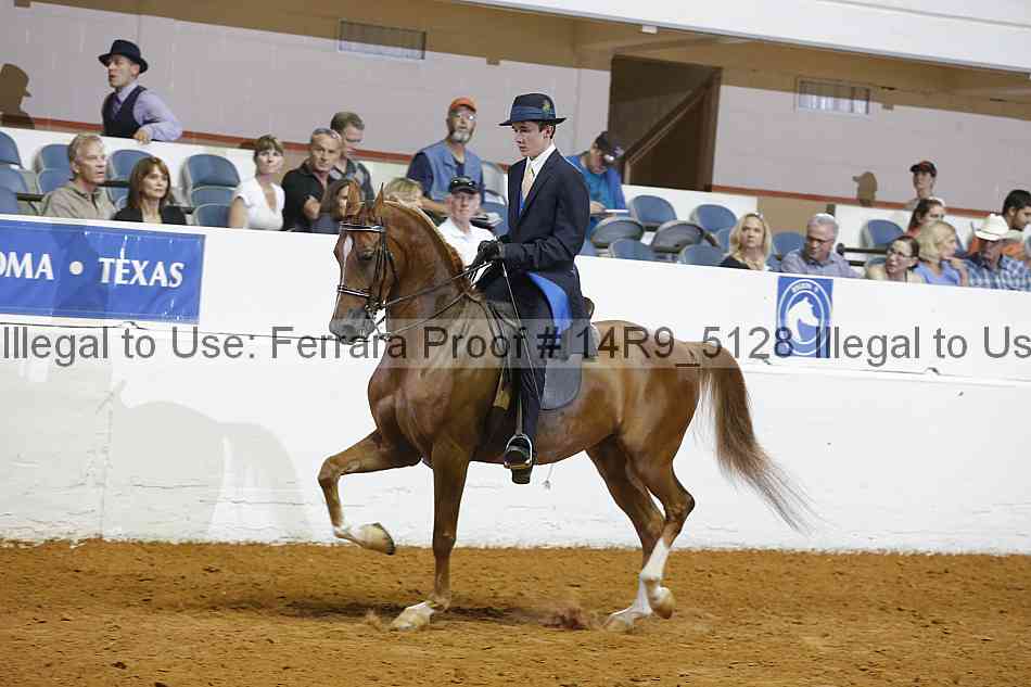 Proof 14r9_5128