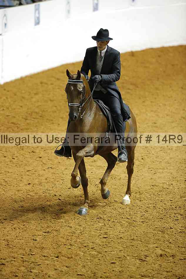 Proof 14r9_5129