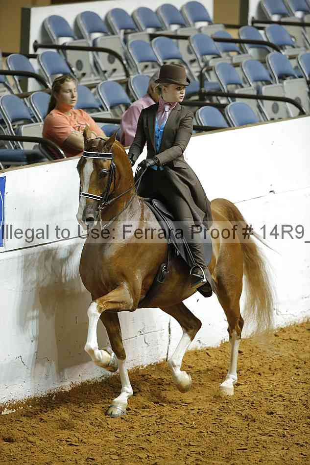Proof 14r9_5146