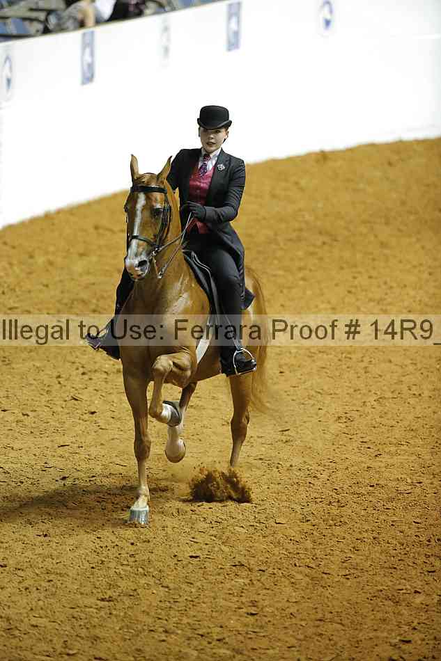 Proof 14r9_5151
