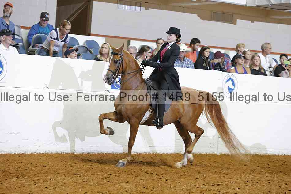 Proof 14r9_5155