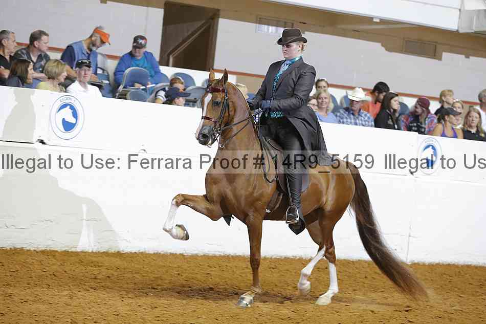 Proof 14r9_5159