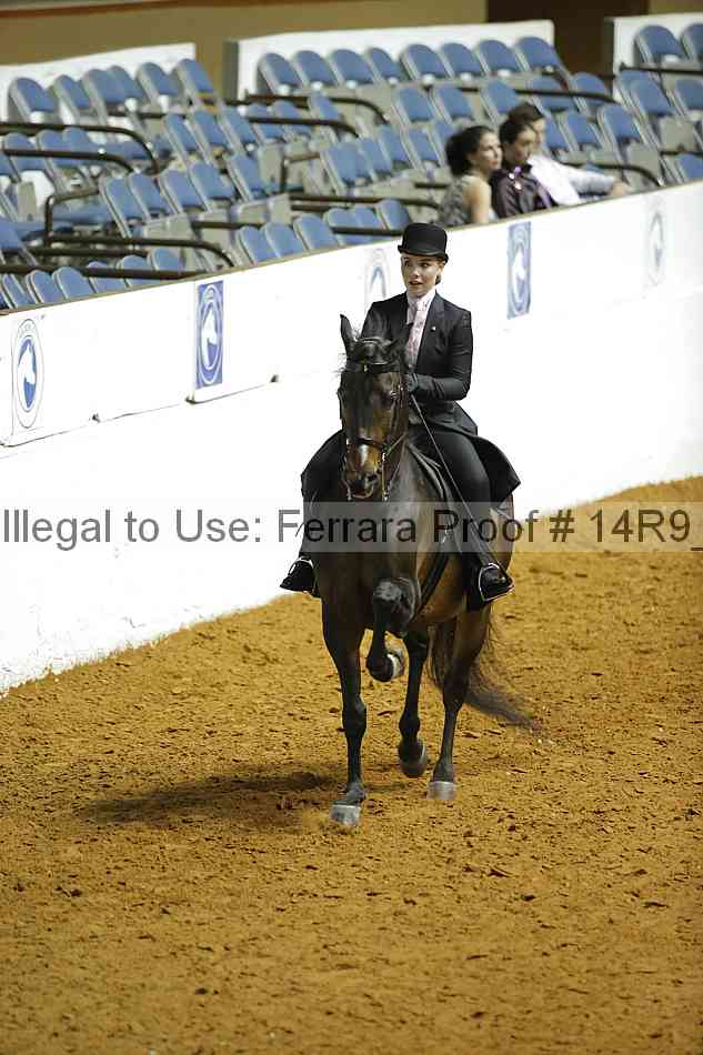Proof 14r9_5162