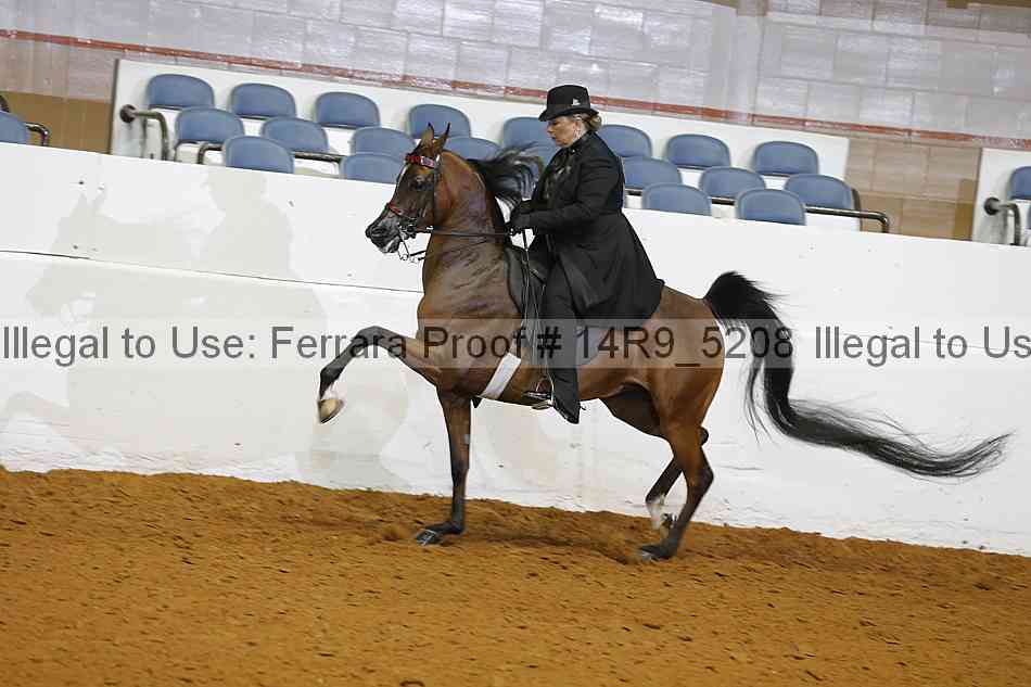 Proof 14r9_5208