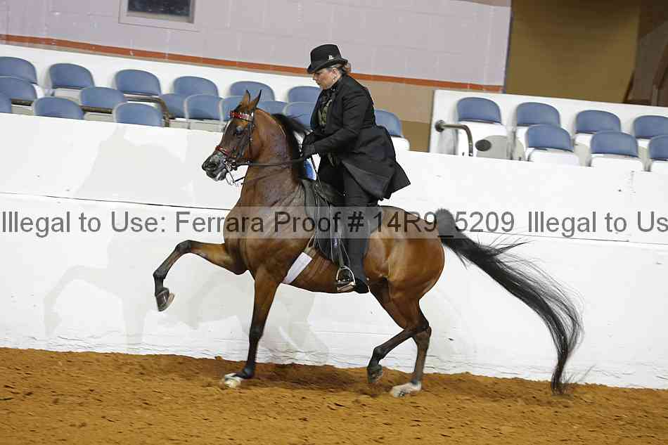 Proof 14r9_5209