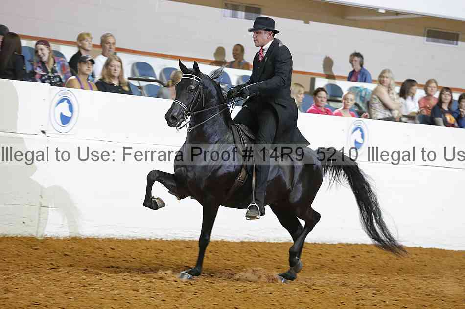 Proof 14r9_5210