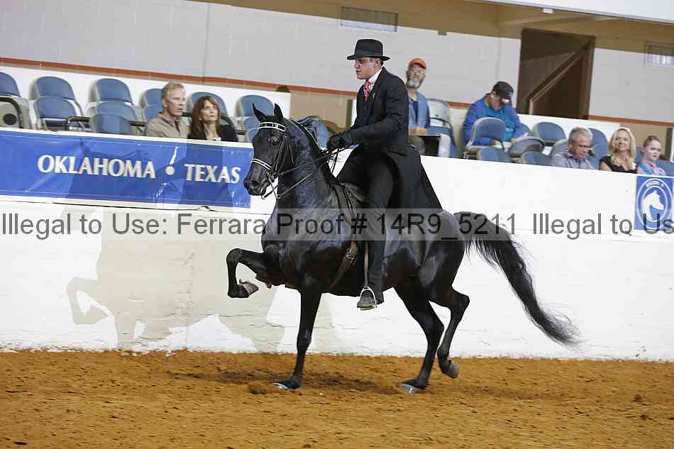 Proof 14r9_5211