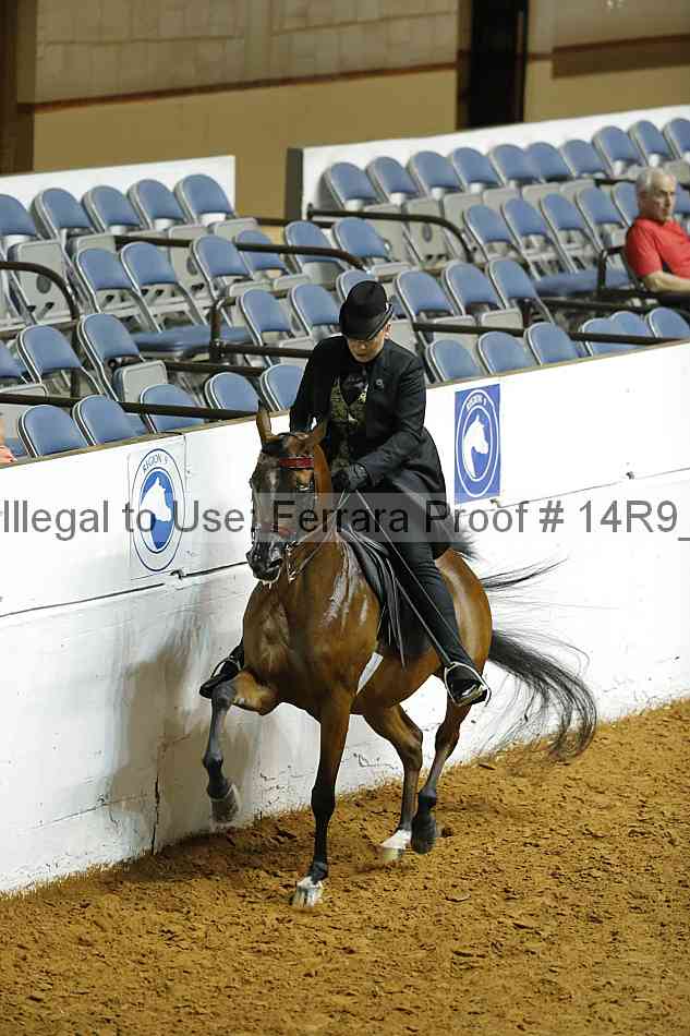 Proof 14r9_5212
