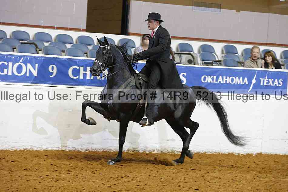 Proof 14r9_5213