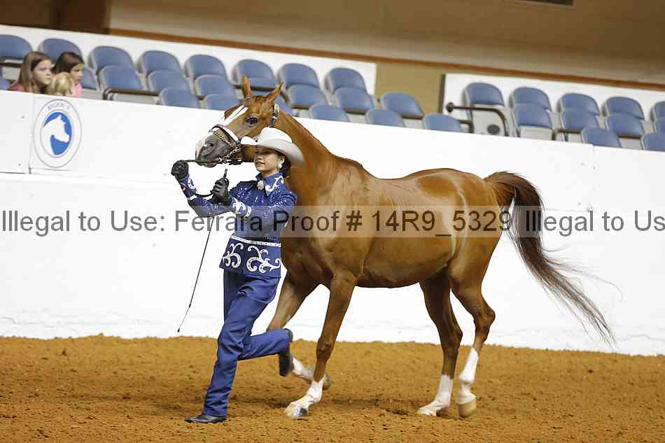 Proof 14r9_5329