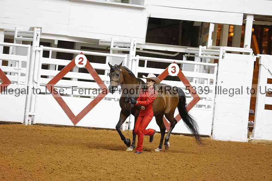 Proof 14r9_5339