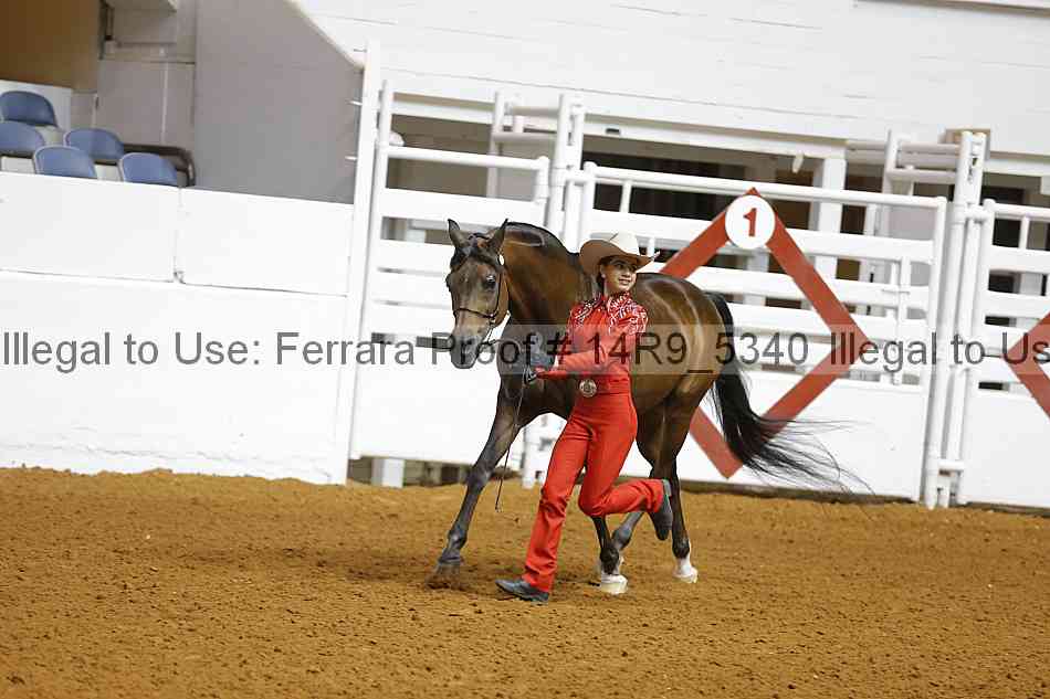 Proof 14r9_5340