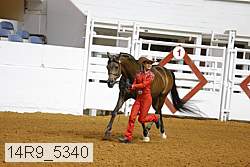 14r9_5340 proof