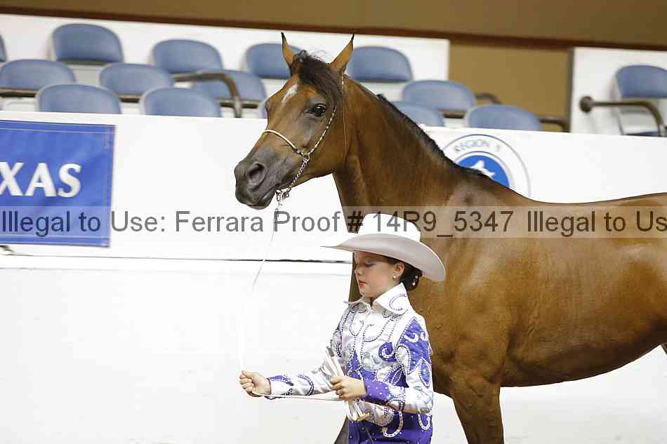 Proof 14r9_5347