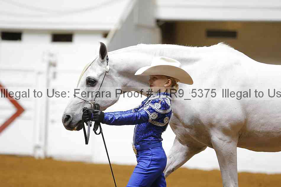 Proof 14r9_5375