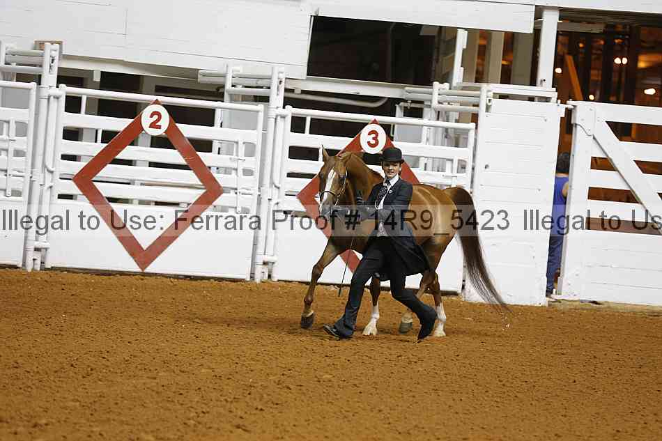 Proof 14r9_5423
