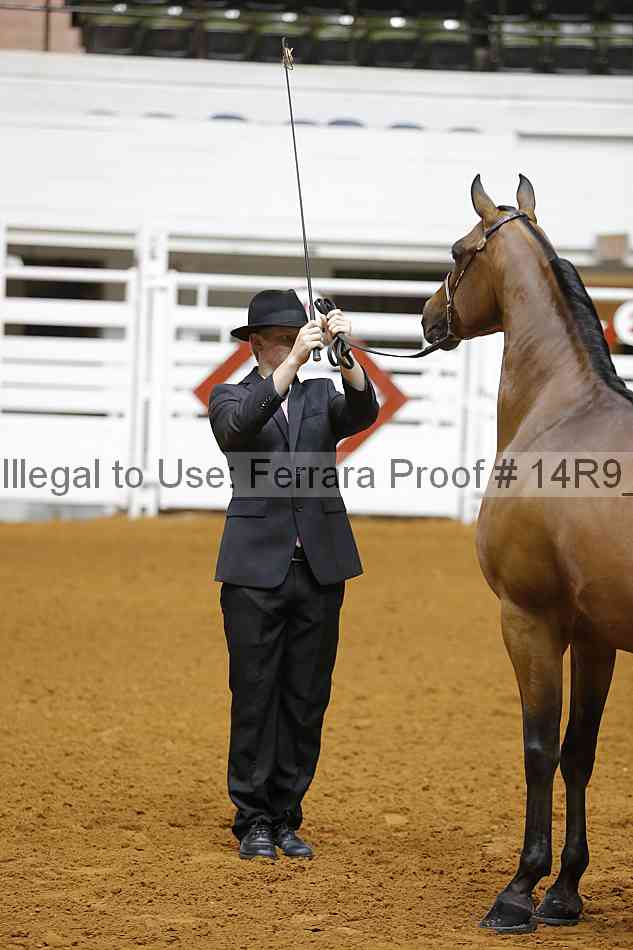 Proof 14r9_5470
