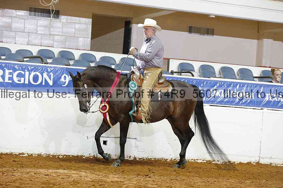 Proof 14r9_5607