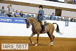 14r9_5617 proof