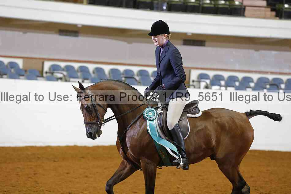 Proof 14r9_5651