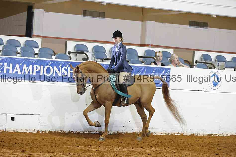 Proof 14r9_5665