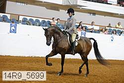 14r9_5699 proof