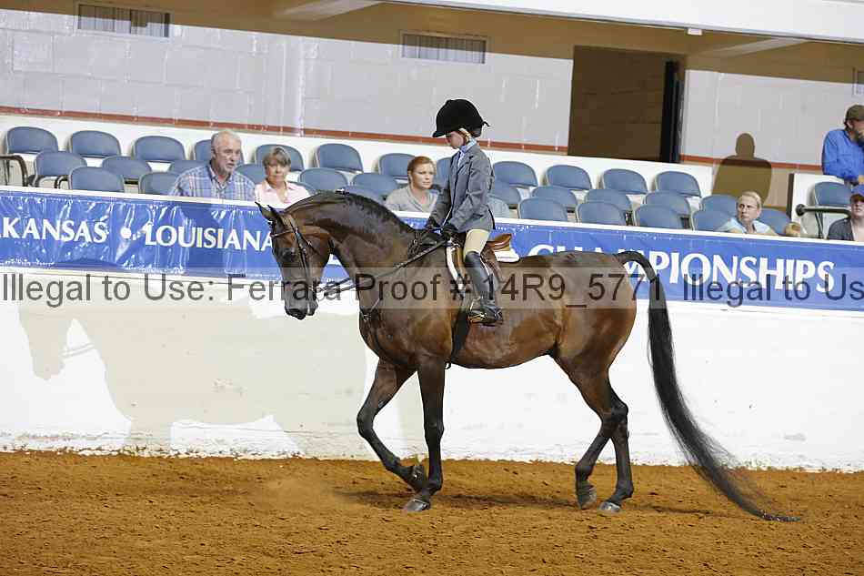 Proof 14r9_5771