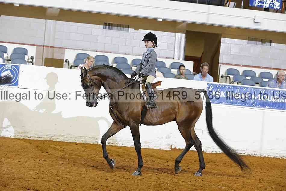 Proof 14r9_5786