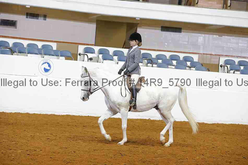 Proof 14r9_5790