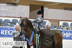 14r9_5816 proof