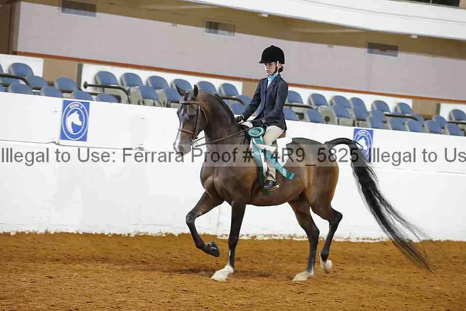 Proof 14r9_5825