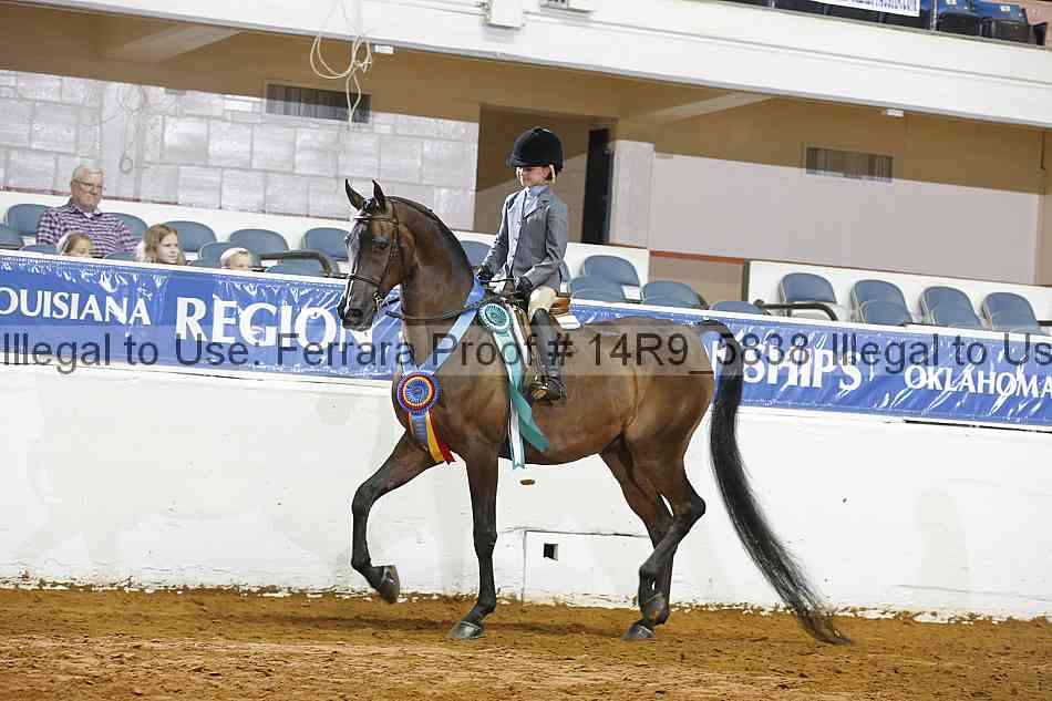 Proof 14r9_5838