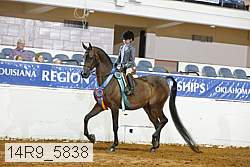 14r9_5838 proof