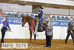 14r9_5876 proof