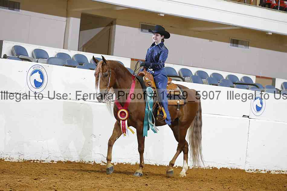 Proof 14r9_5907