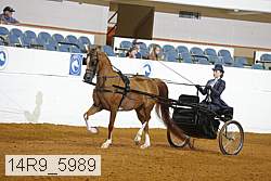 14r9_5989 proof