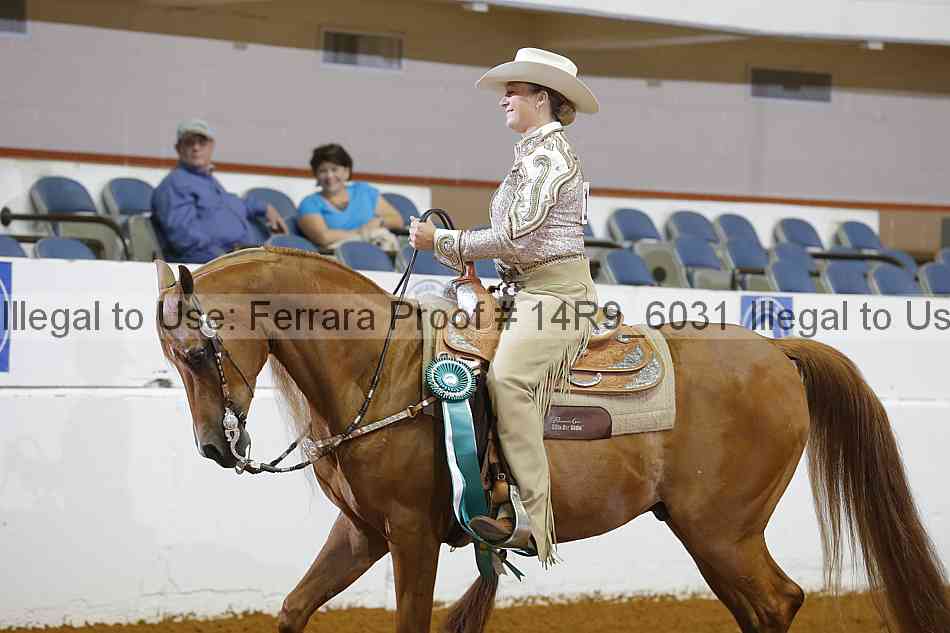 Proof 14r9_6031